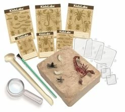 4Μ κατασκευές Επιτραπέζιο 4Μ Ζωύφια Του Πλανήτη Μας (4M0573) -Κατάστημα Δεσύλλας 208517 3